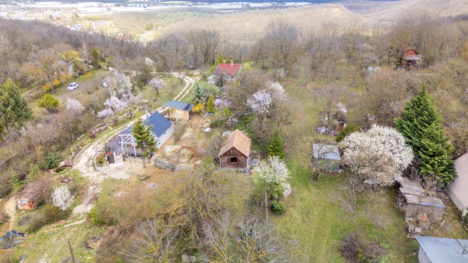 DJI_20260323131342_0703_D-HDR (1)